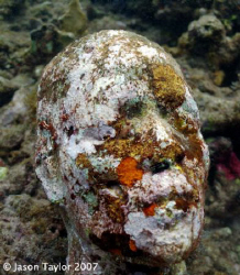 Grace after 1 year. Photo of sculpture by Jason de Caires... by Jason Taylor 